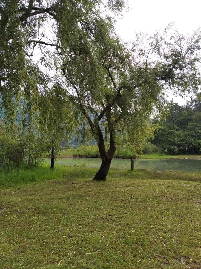 דירות ורבאניה Tra La Stazione E Il Lago מראה חיצוני תמונה